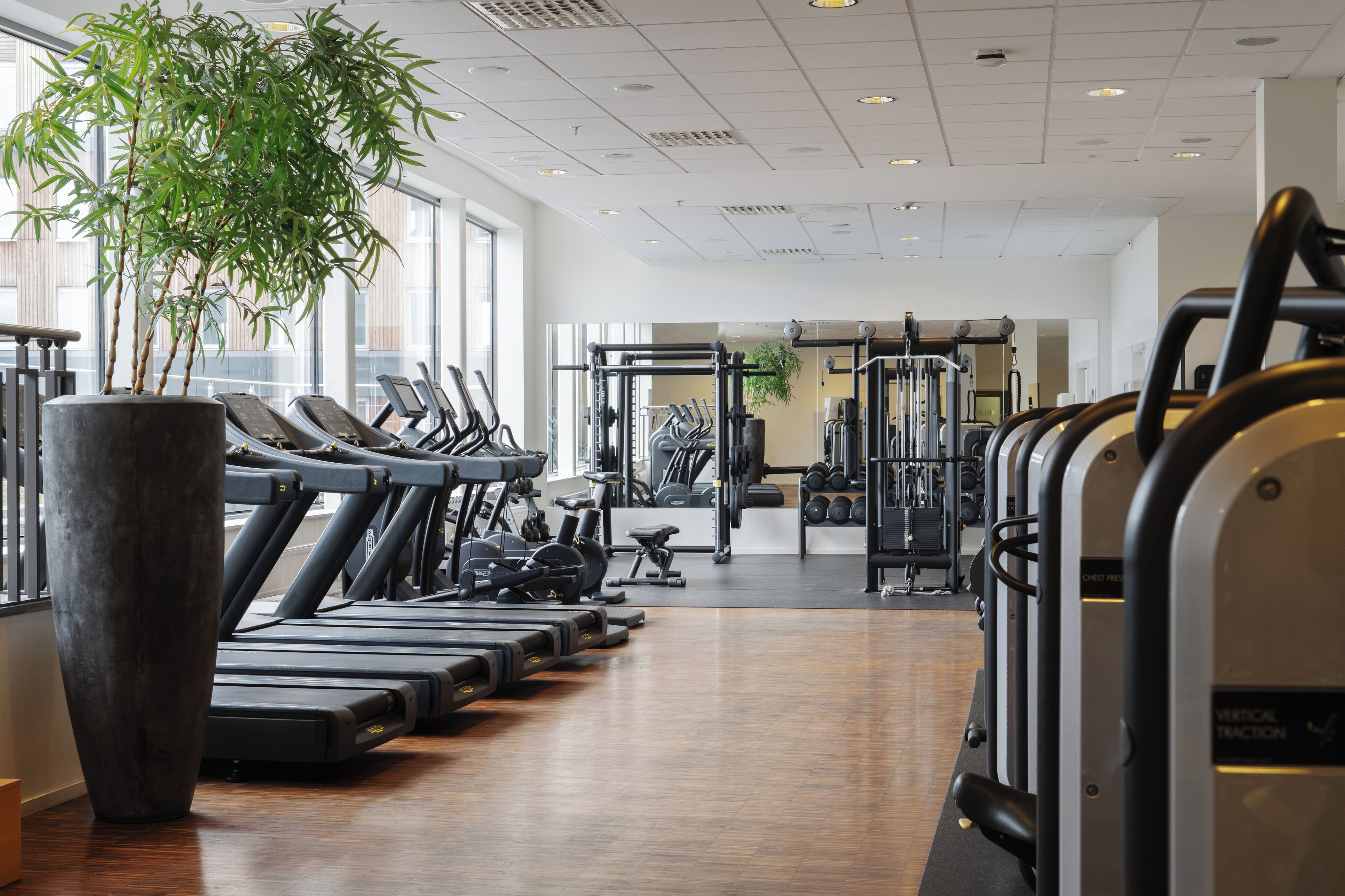 Un gimnasio con cintas de correr, máquinas de pesas y una gran planta en maceta.