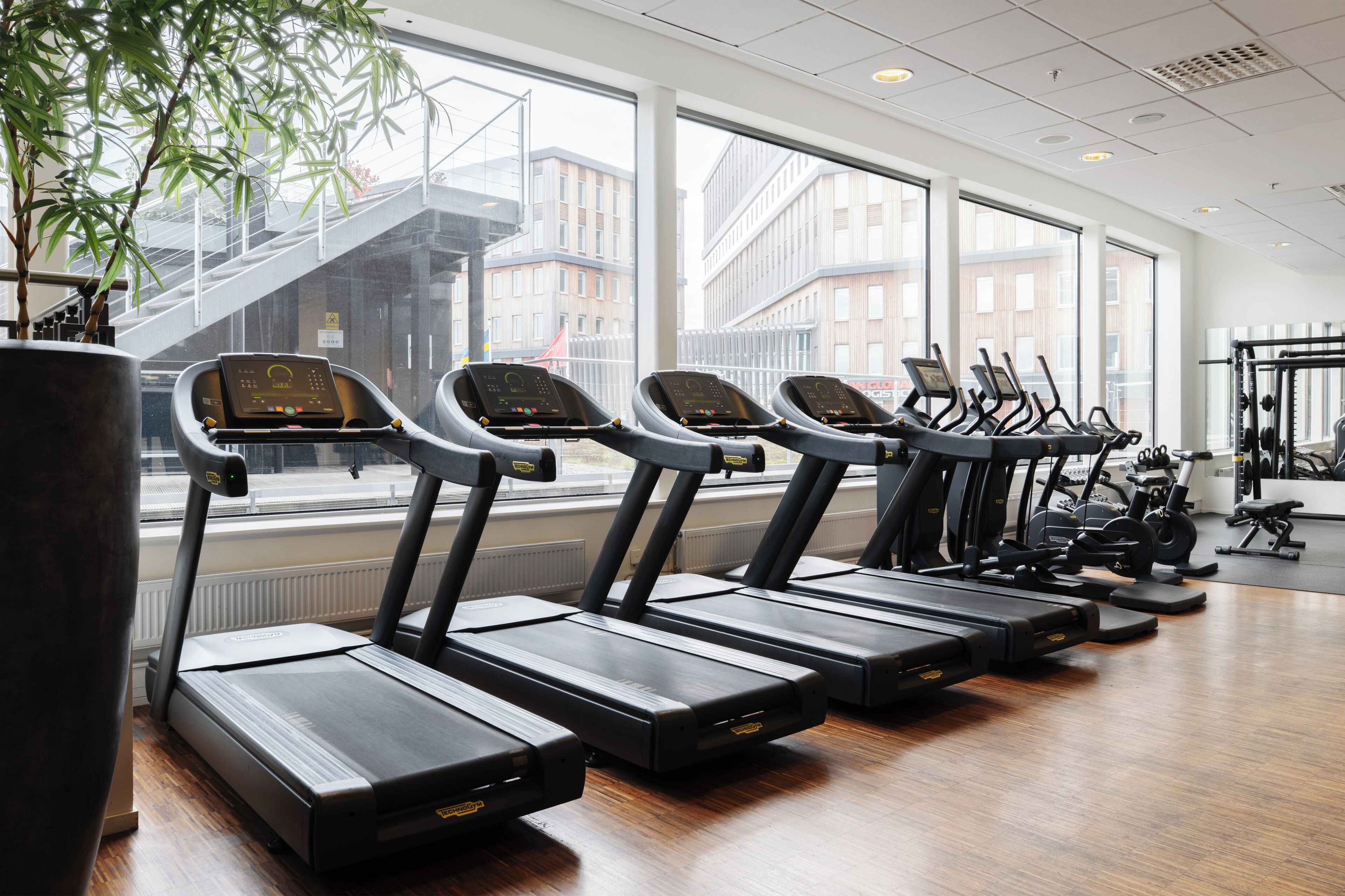 Varias cintas de correr en un gimnasio con ventanas amplias y vistas a edificios.