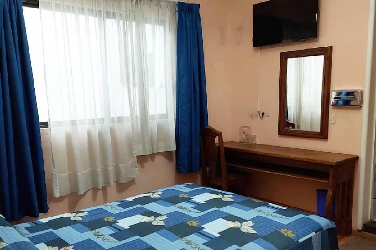 Une chambre à coucher comprenant un lit, un bureau, une chaise, un téléviseur et une fenêtre avec des rideaux.