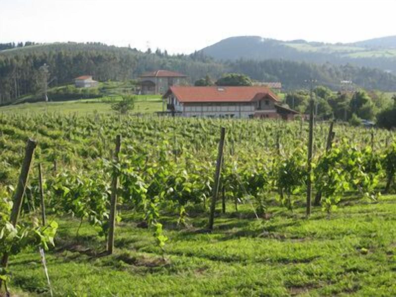 Foto - H&AP Rural Merrutxu