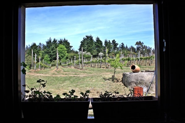 View from property - H&AP Rural Merrutxu (Ibarranguelua)