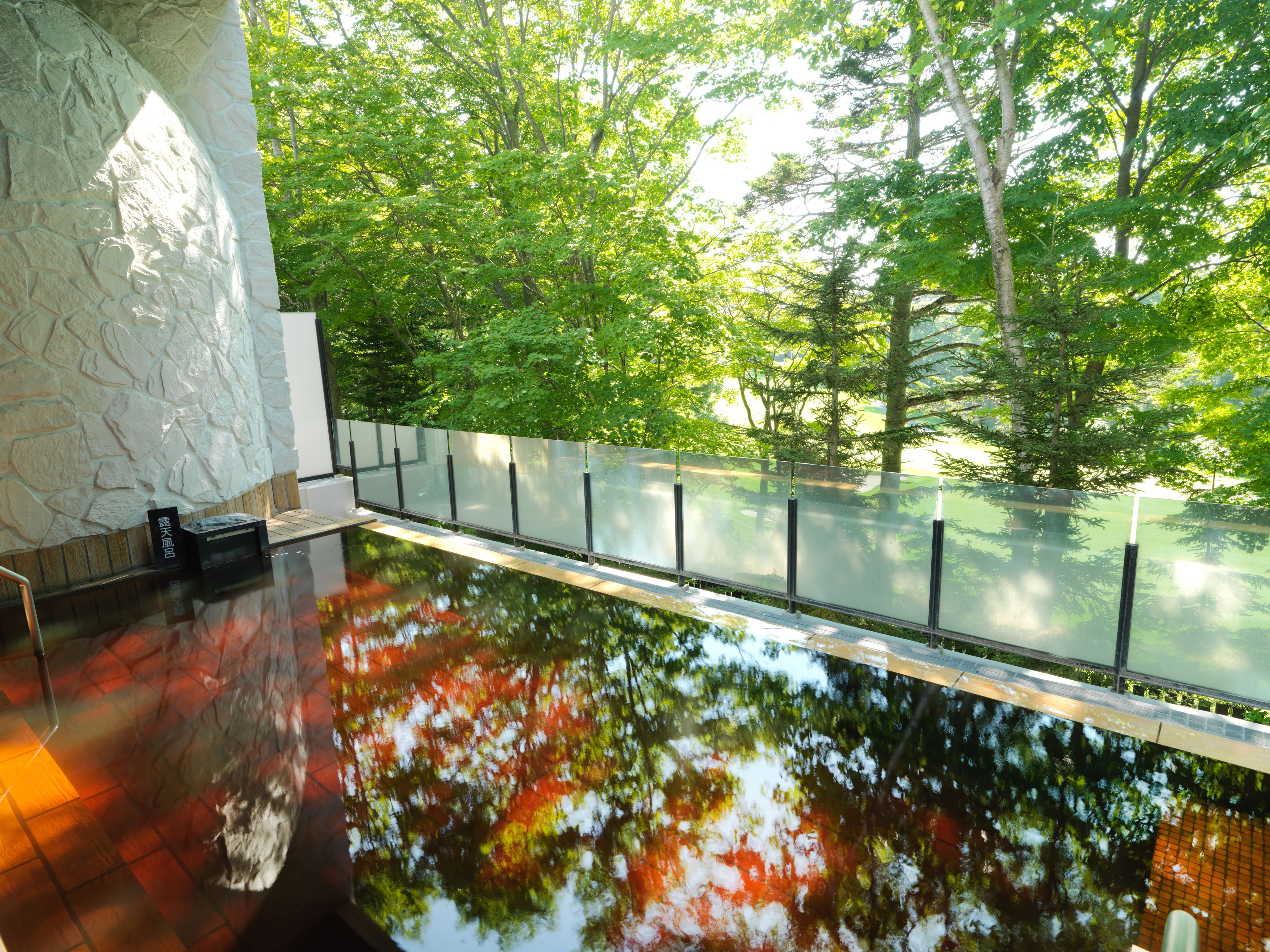 A modern indoor pool with a glass barrier, surrounded by lush greenery.
