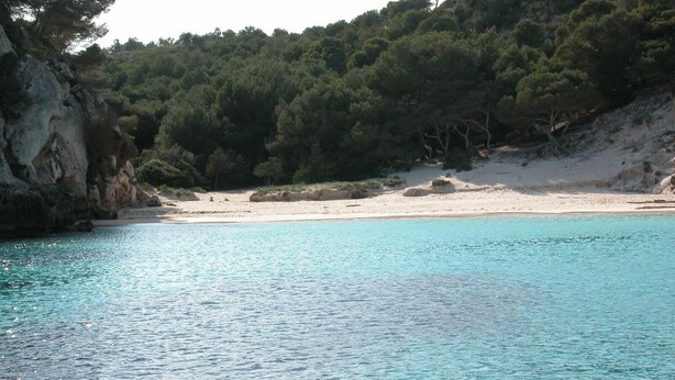 A coastal beach with clear turquoise water, sandy shore, and dense forested hills in the background. - Las Brisas I & II (Ciutadella de Menorca)