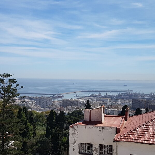 Paisaje costero con vista al mar y al puerto, que muestra una combinación de edificios residenciales y comerciales.
