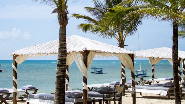 Una playa con palmeras, sillas de playa y sombrillas.
