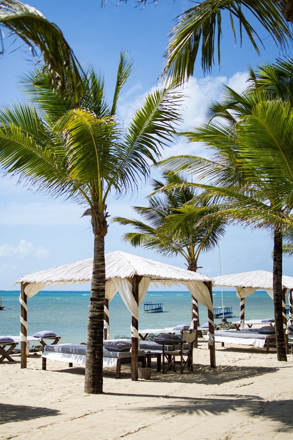 Une plage bordée de palmiers, avec des chaises de plage et des parasols.