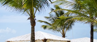 Billionaire Resort & Retreat