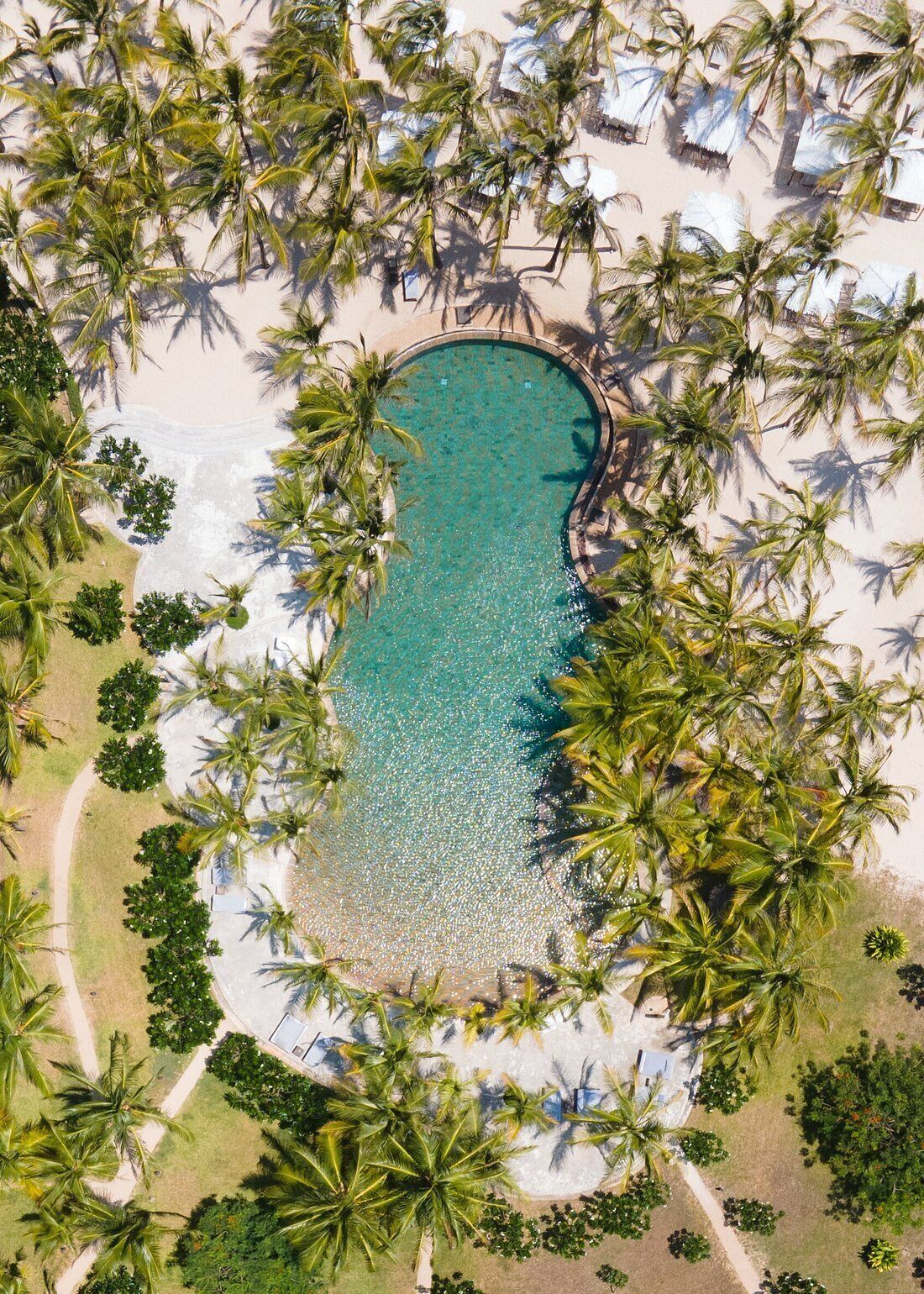 Ett flygbildsfoto av ett semesterområde med en central pool omgiven av palmer och strandparasoller.