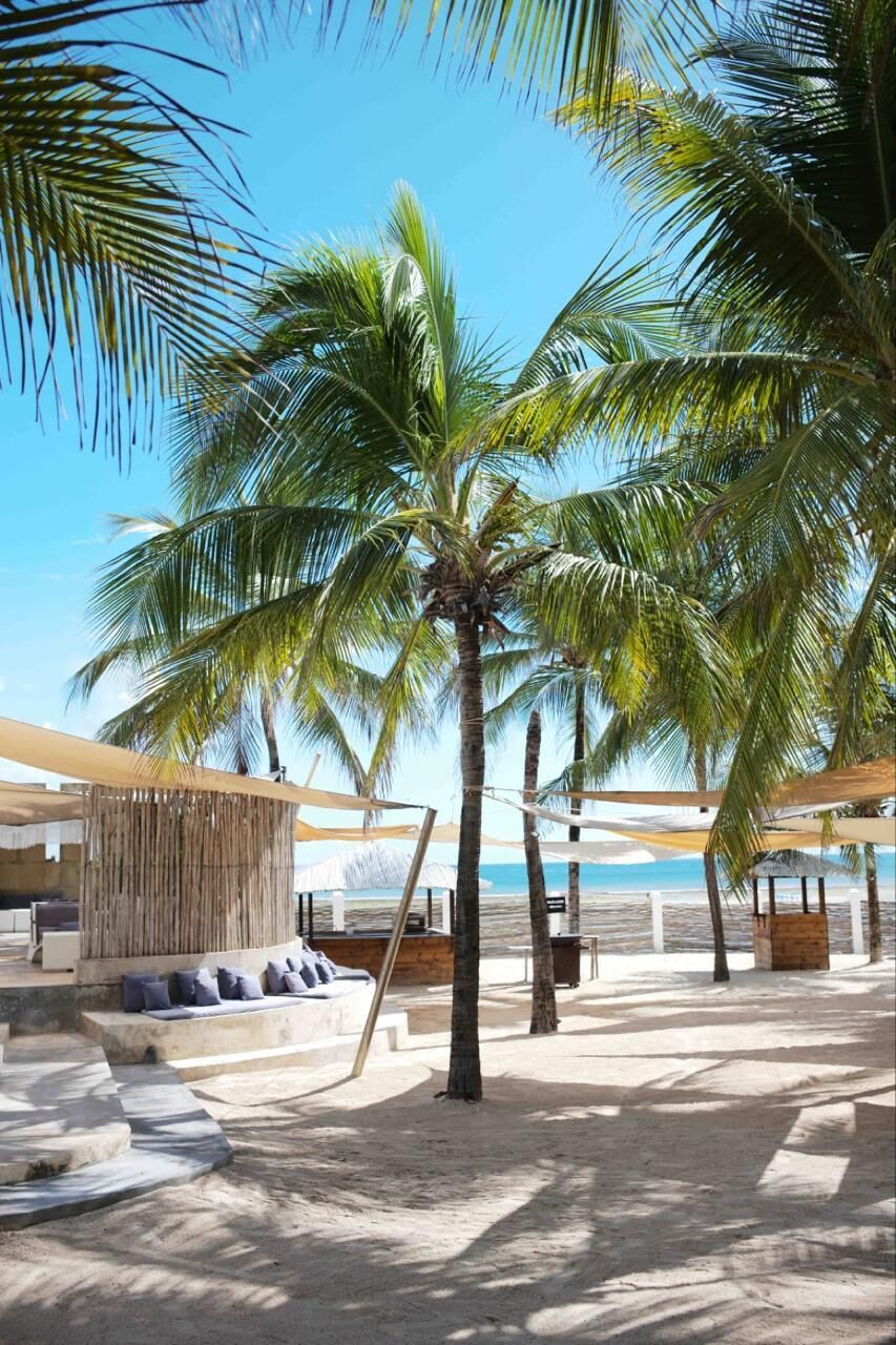 A beachside area with palm trees, a wooden structure, and a view of the ocean.