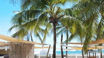 A beachside area with palm trees, a wooden structure, and a view of the ocean.