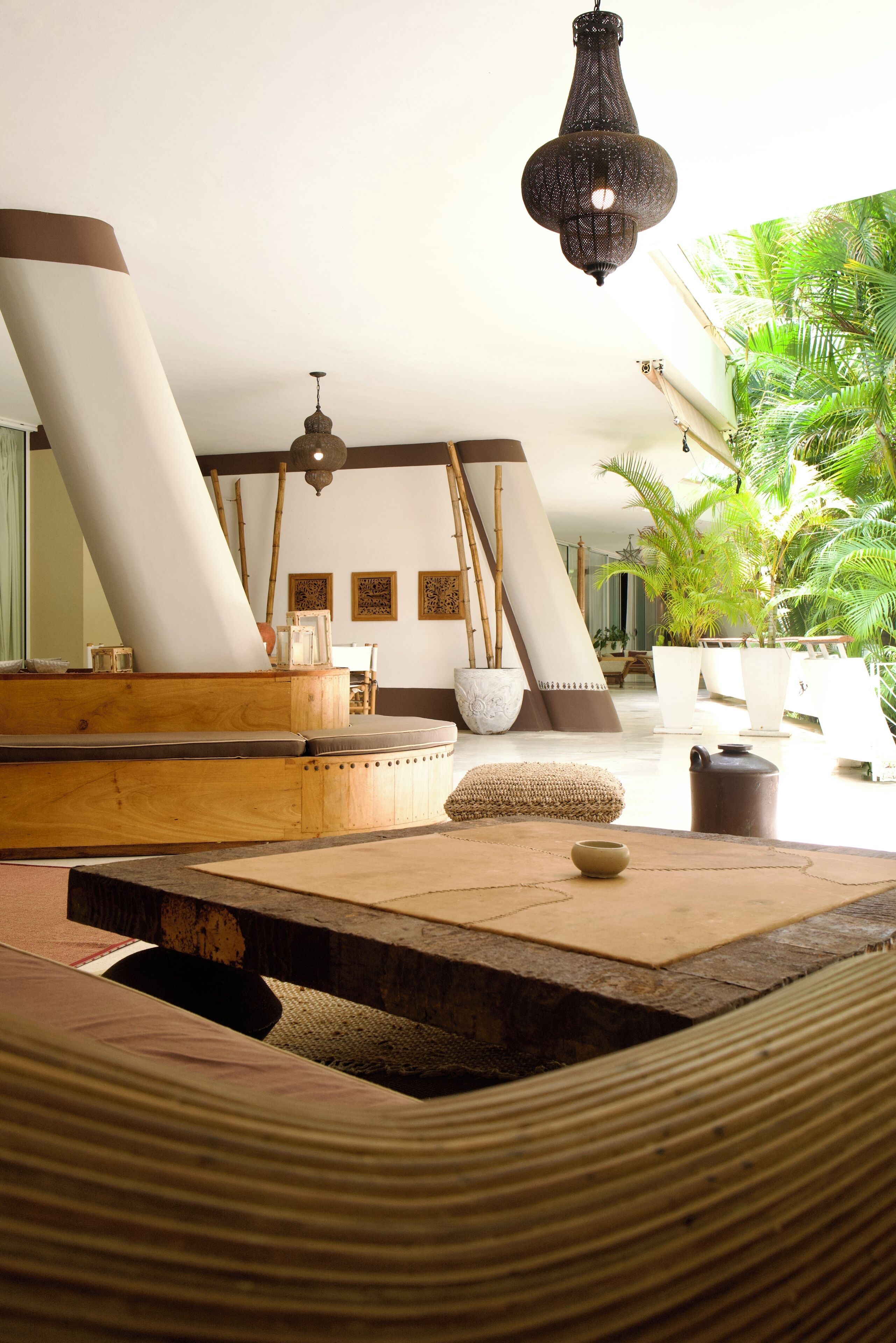A room with a wooden bench, a hanging light fixture, and a large plant.