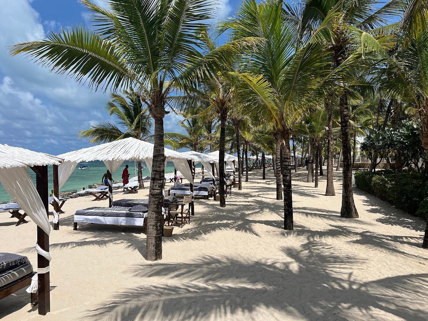 Une plage bordée de palmiers, avec des chaises de plage et des parasols.