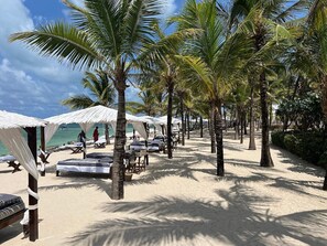 A beach with palm trees, beach chairs, and umbrellas. - Billionaire Resort & Retreat (Malindi)