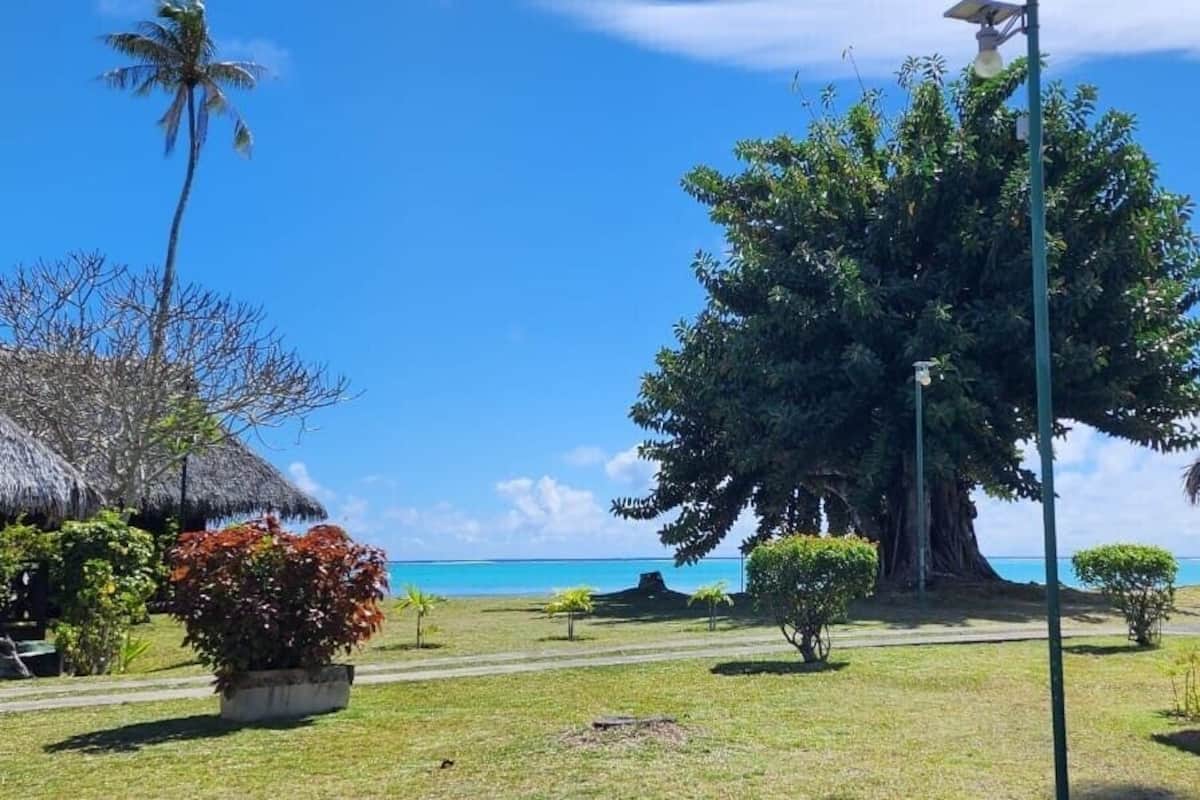 A tropical resort with thatched-roof huts, a large central tree, and a clear view of the ocean.