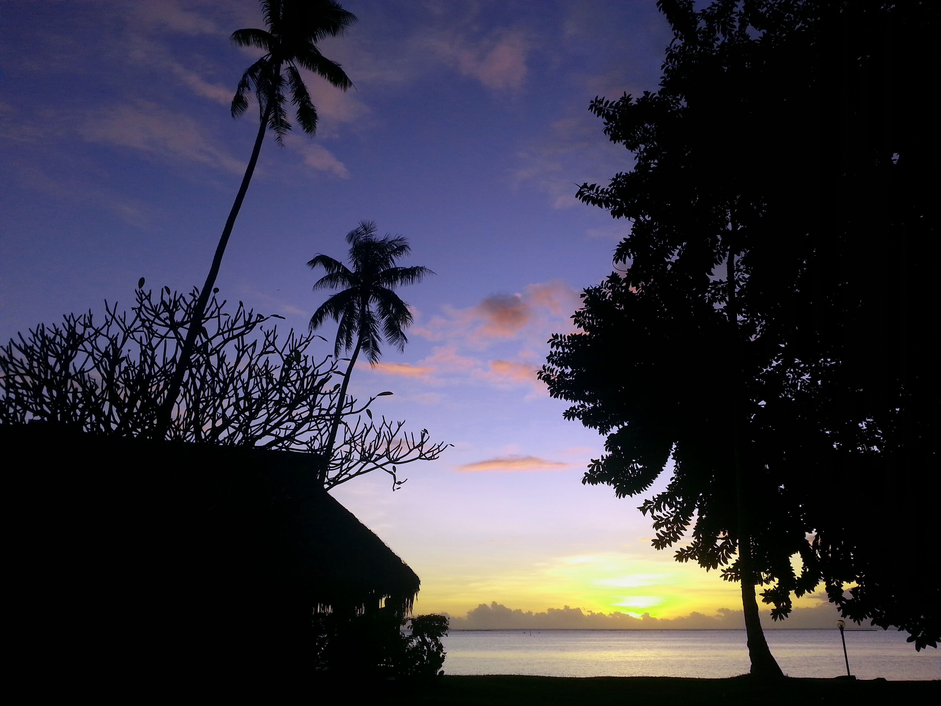 Foto - Hotel Hibiscus