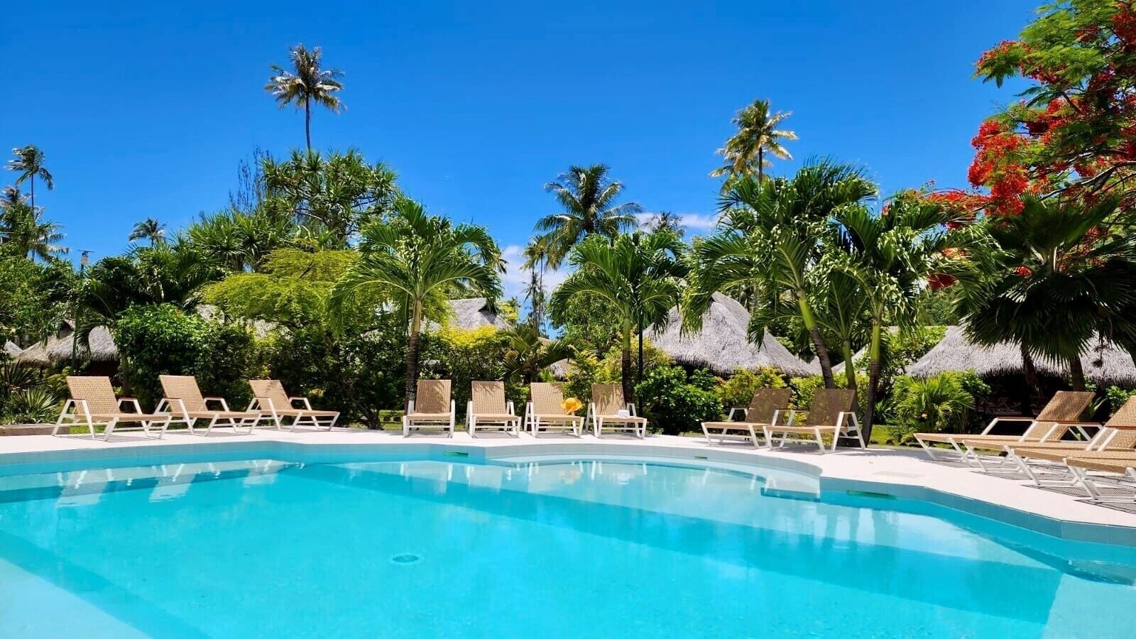 Outdoor pool, pool loungers