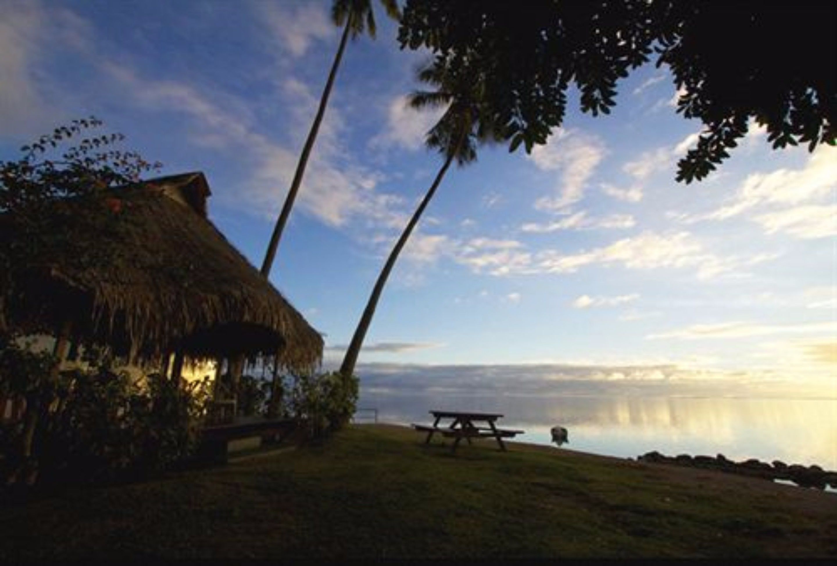 Foto - Hotel Hibiscus