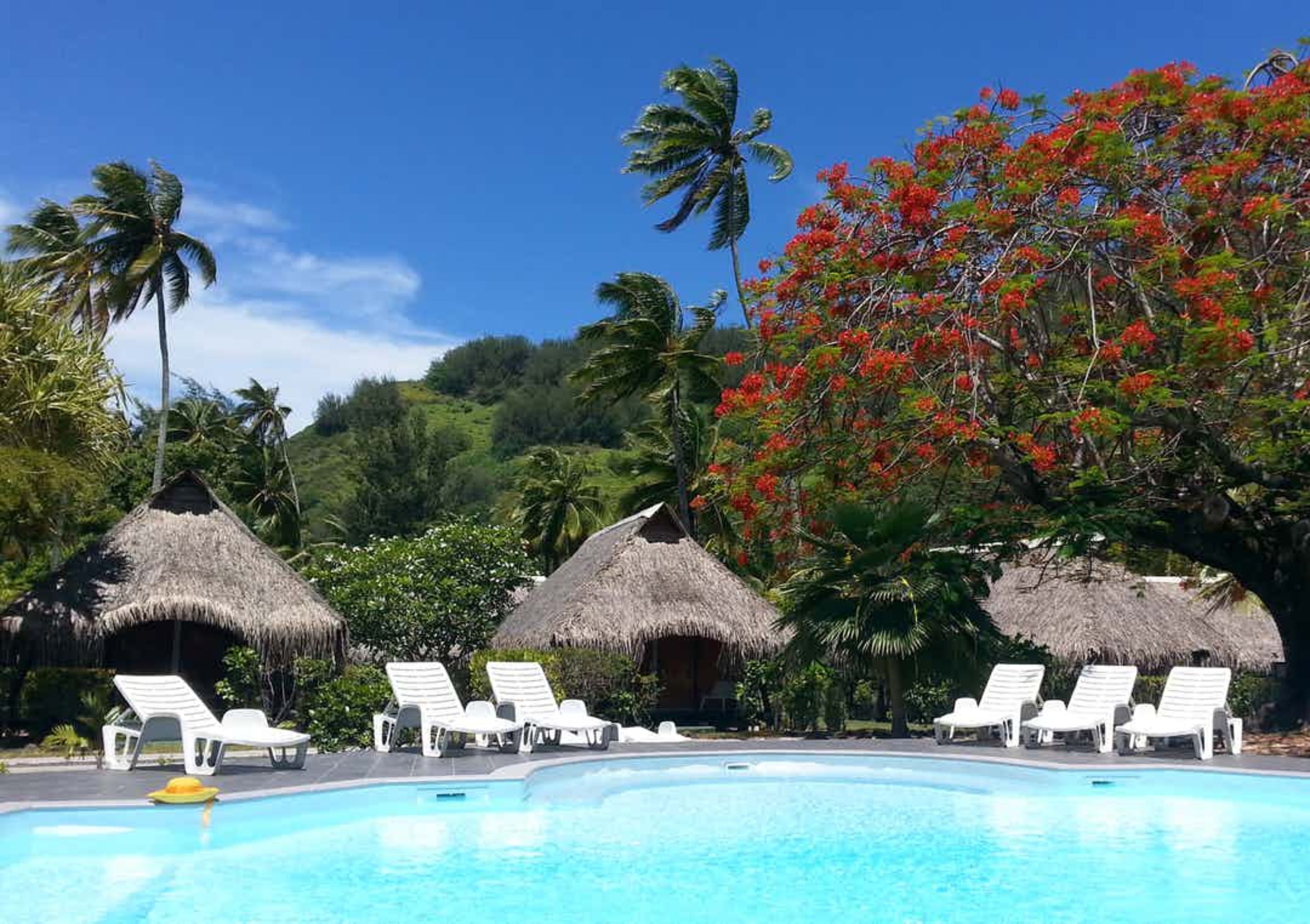 bungalow, triple, garden area, no air conditioning, fan only | view from room