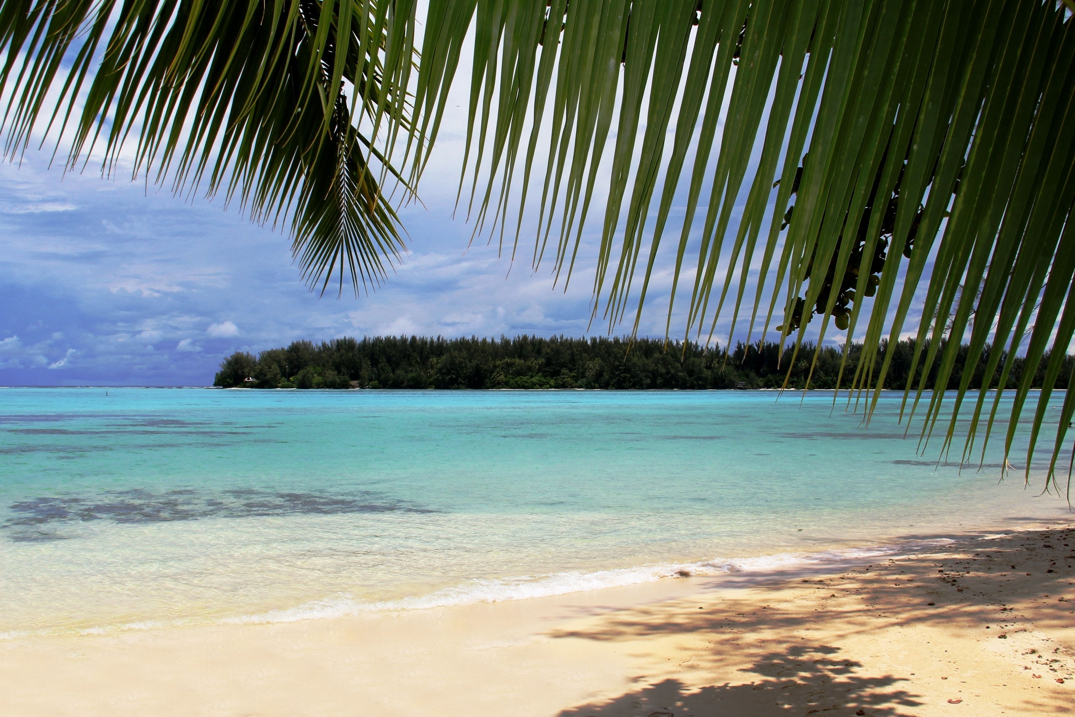 Foto - Hotel Hibiscus