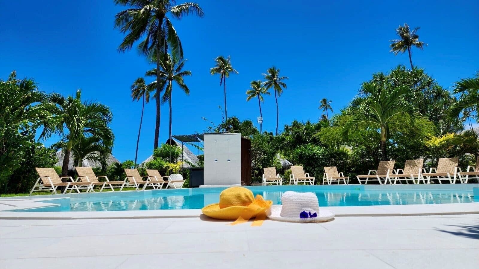 Foto - Hotel Hibiscus