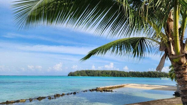 Une plage à l’eau turquoise et limpide, un rivage sablonneux et un palmier.