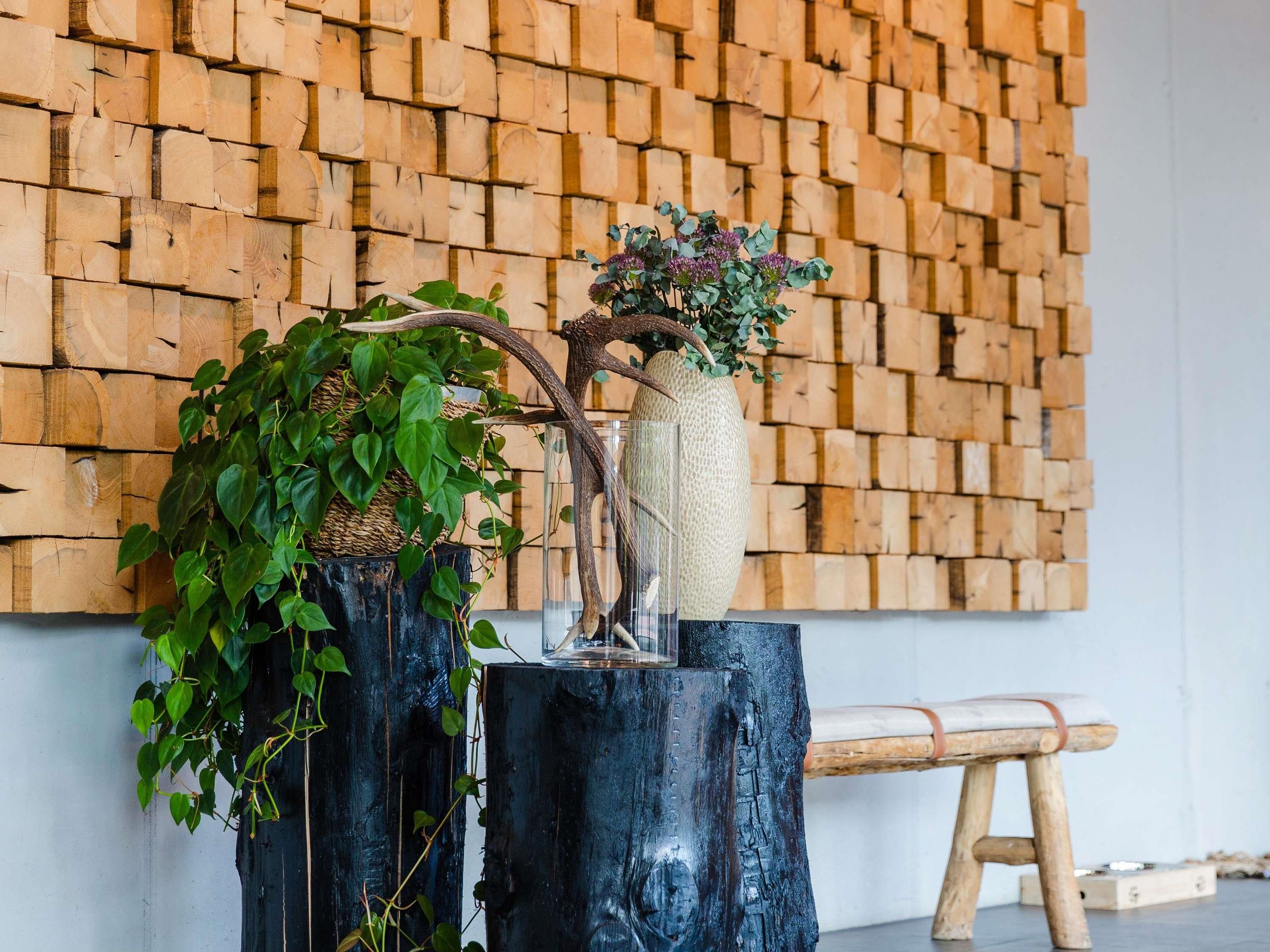 A room with a wooden wall, a black wooden stool, and two planters with green plants.