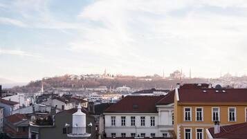 Superior Double Room, City View | View from room