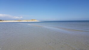 Beach nearby - Captain Pahlen Ferienanlage (Zingst)