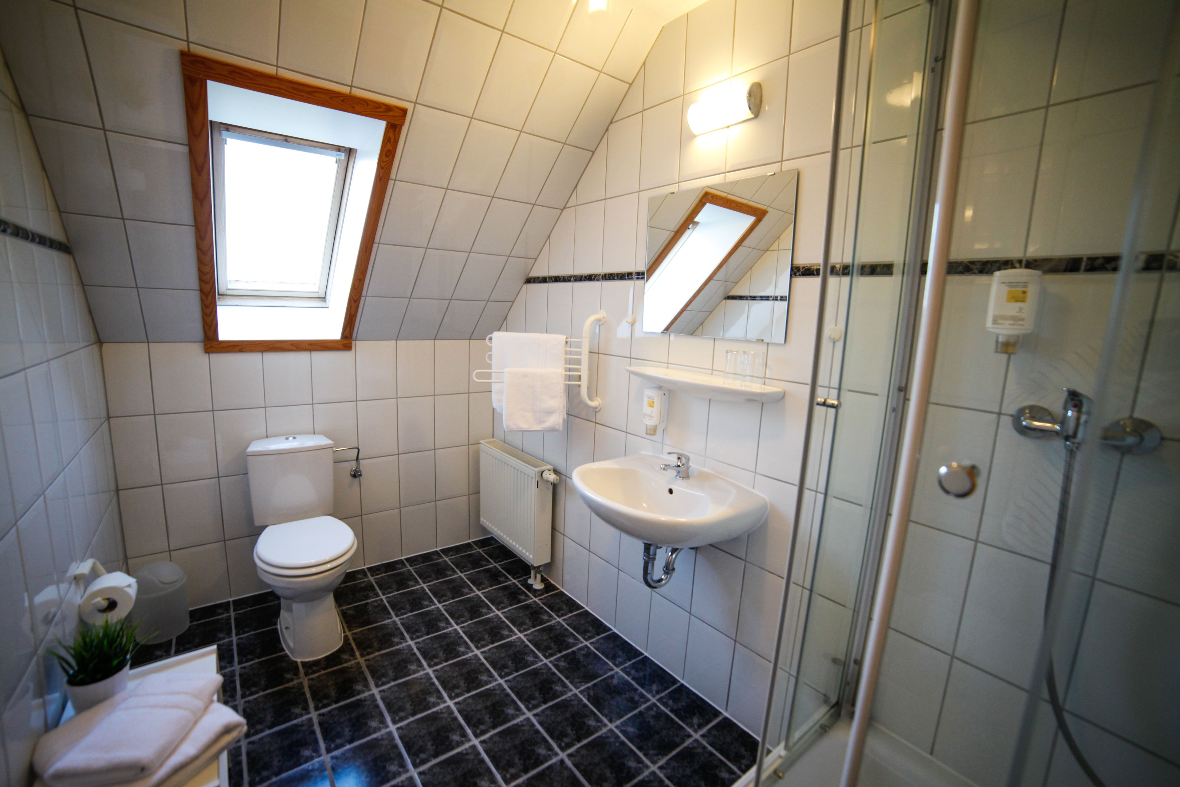 A bathroom with a toilet, sink, and shower.