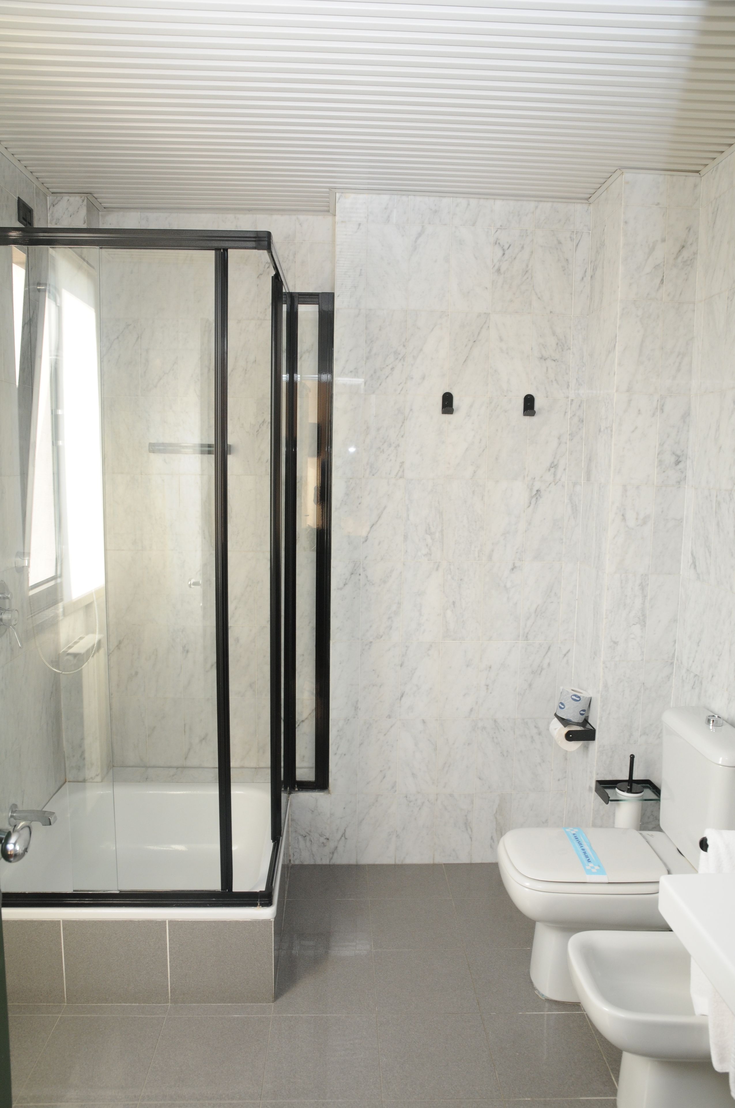 shower, free toiletries, hair dryer, bidet