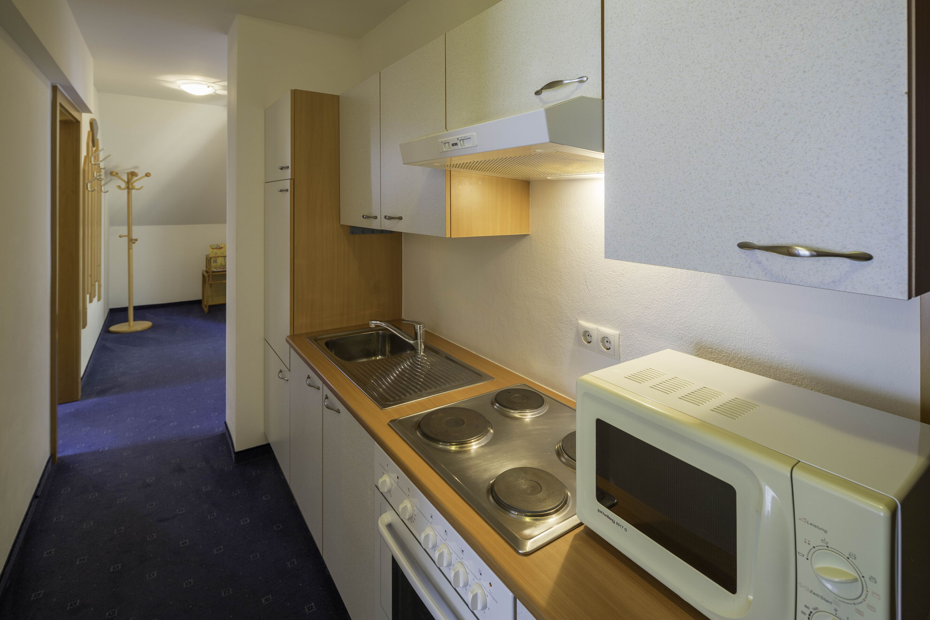 basic apartment | private kitchenette