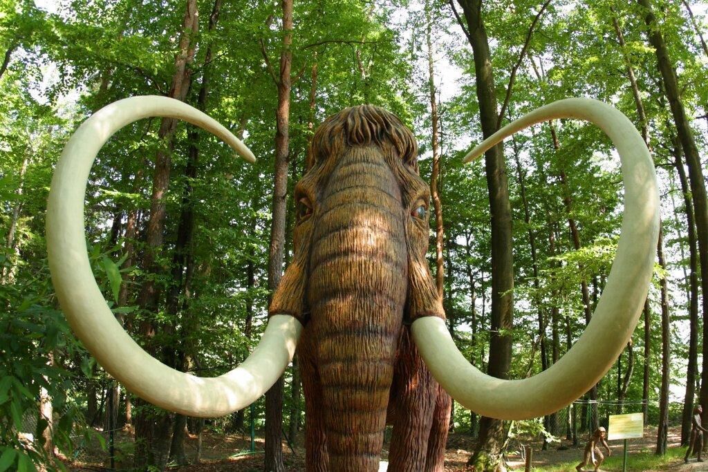 A large mammoth statue with tusks in a forest setting.