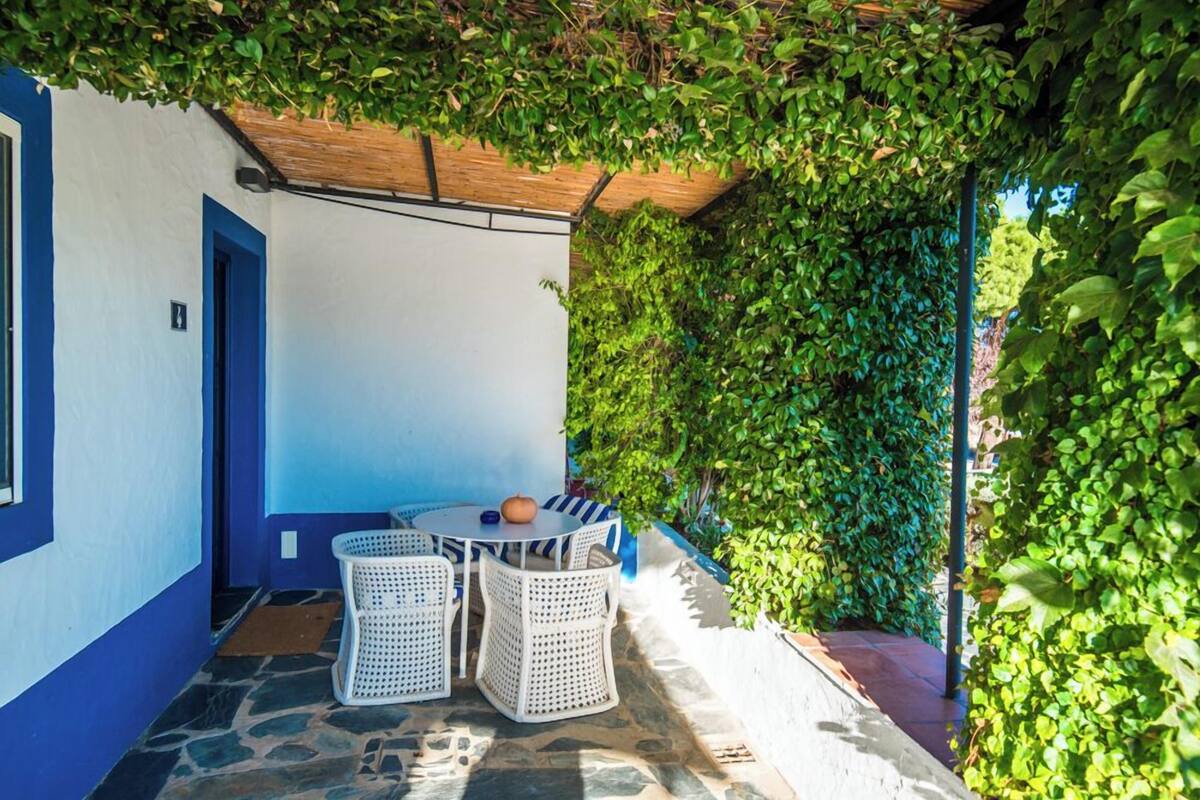 Un espace extérieur abrité, aménagé avec une table et des chaises, et entouré d’une végétation luxuriante.