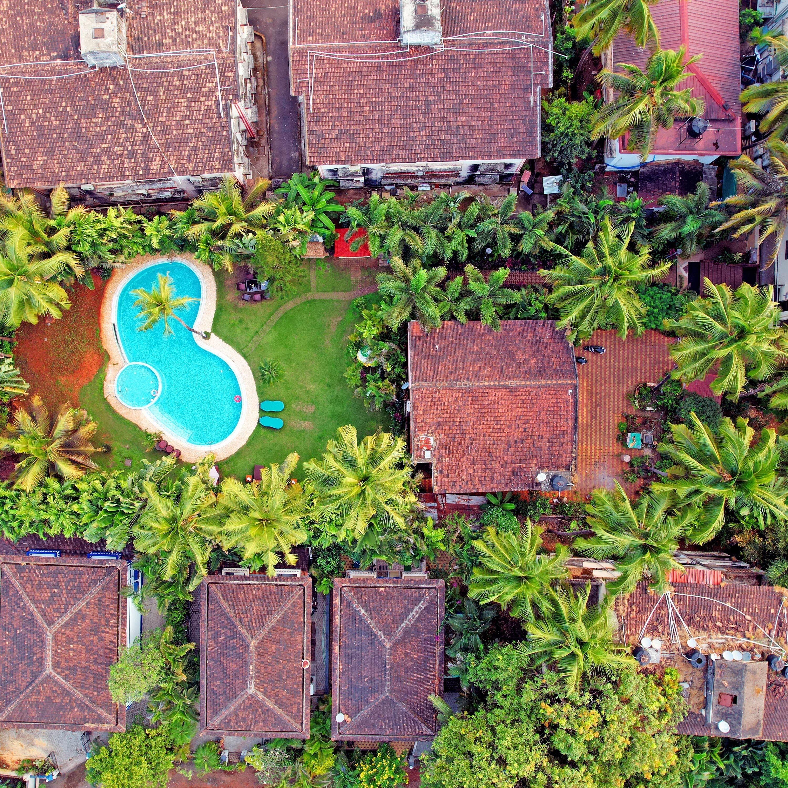 An aerial view of a residential area with a swimming pool surrounded by lush greenery and palm trees.