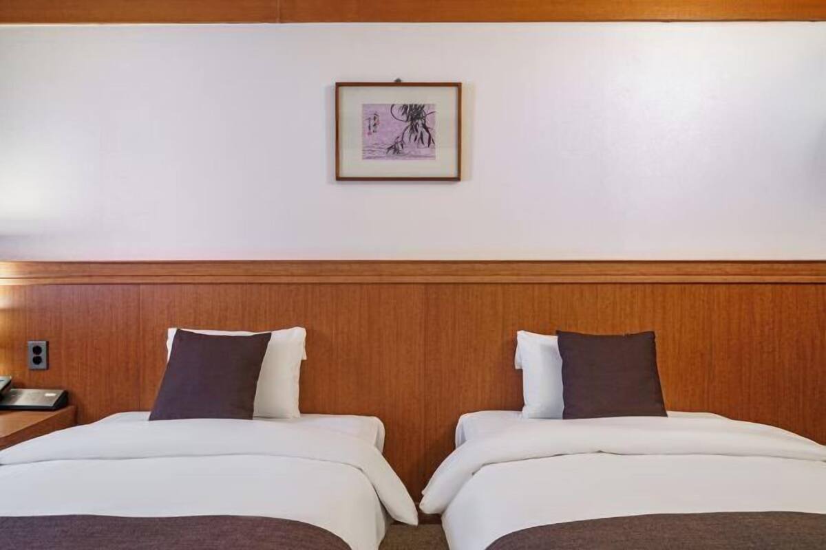 Minibar, in-room safe, blackout drapes, iron/ironing board (on request)
