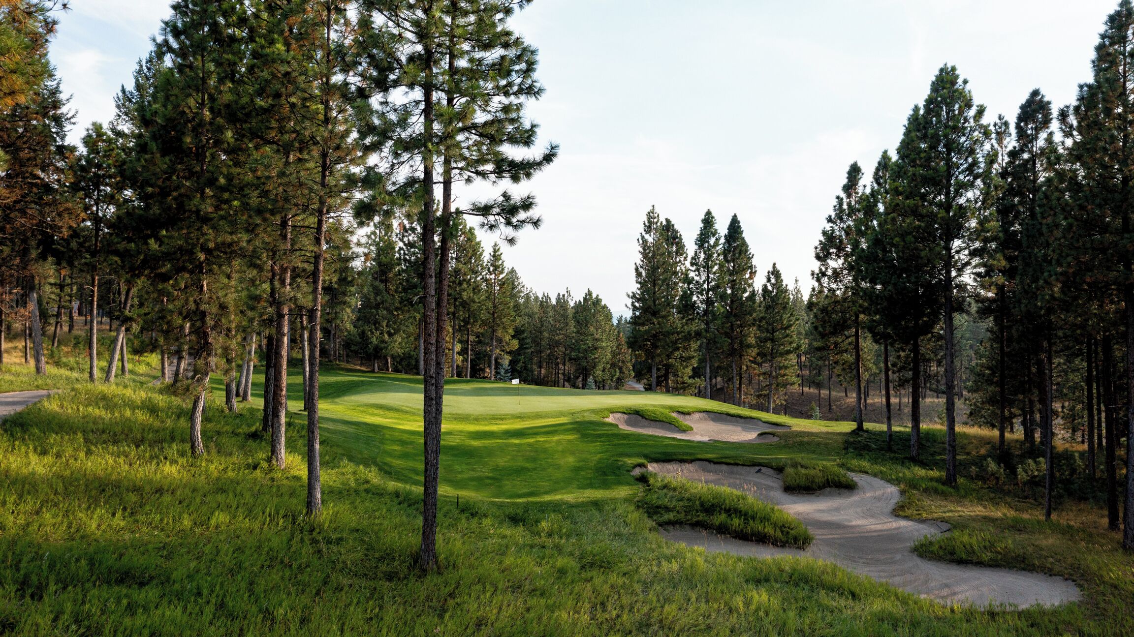 A golf course with a well-maintained green, sand bunkers, and tall pine trees.