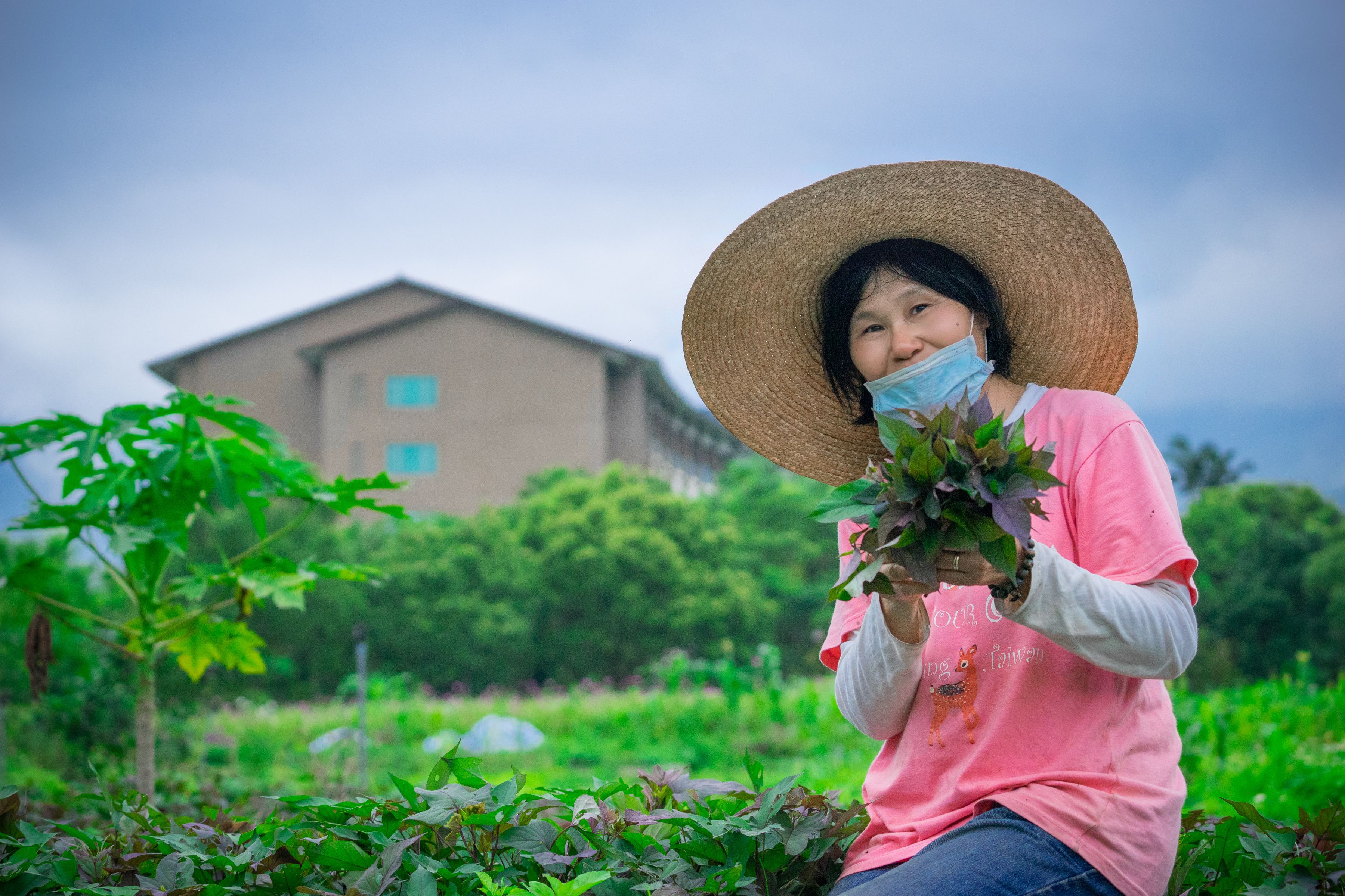 A person holding a plant in a garden with a building in the background.