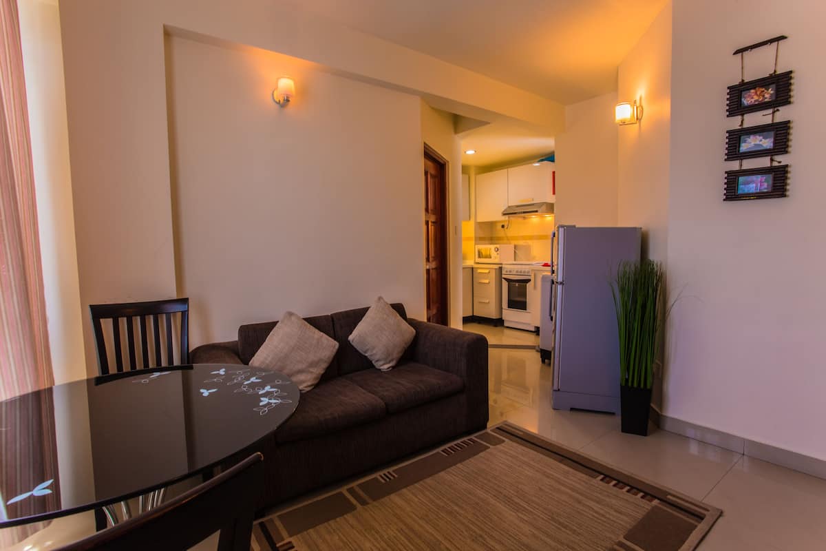 26-inch lcd tv with satellite channels, tv, streaming services