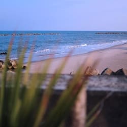 On the beach