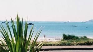 Unclassified image, 4 of 35, button - Samares Coast (ST CLEMENTS)