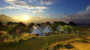 A row of white cottages with sloped roofs, surrounded by greenery and a mountain in the background. - Ambady Estate (Devikolam)