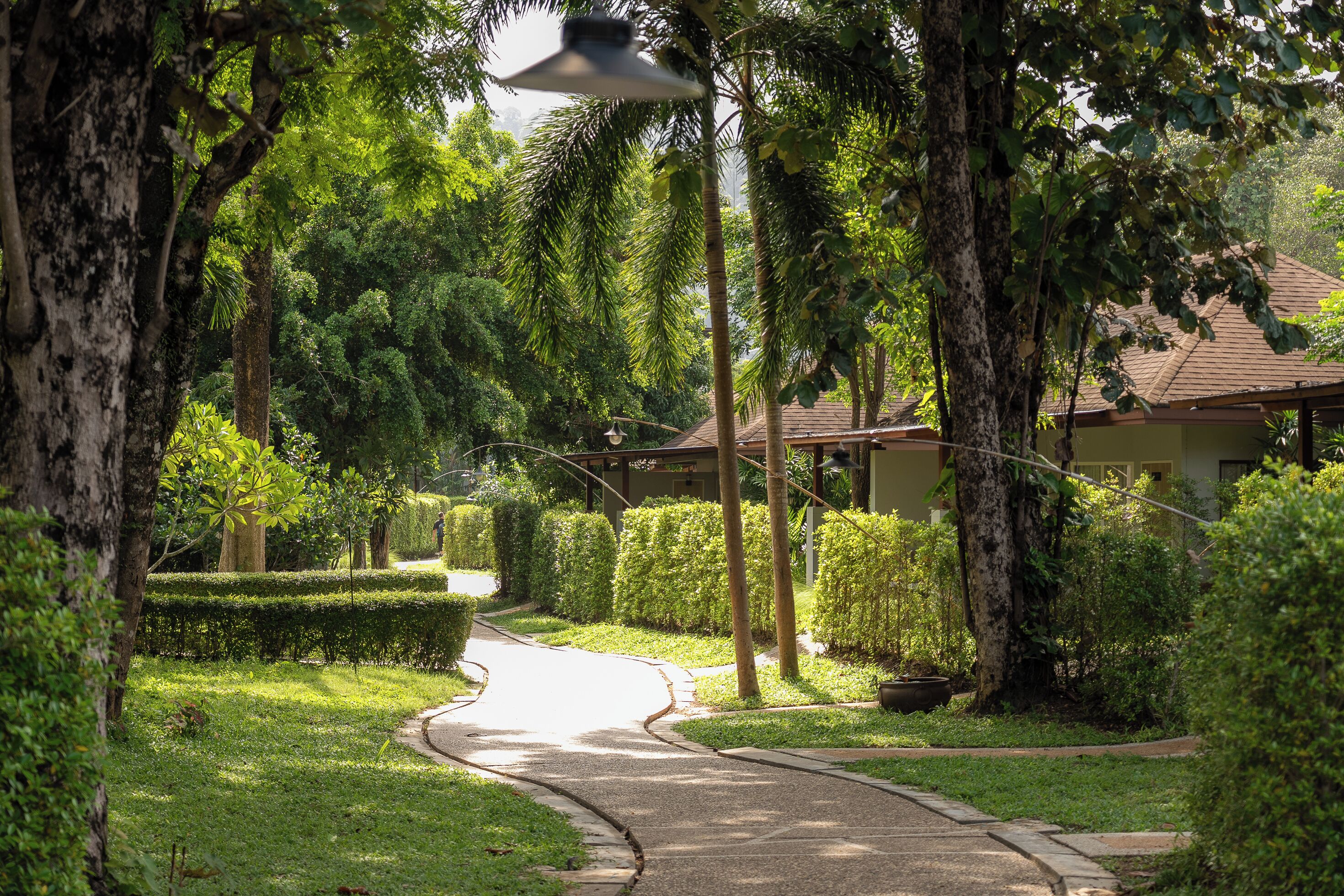 villa plunge pool | garden view