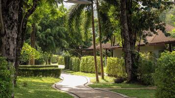 Villa Plunge Pool | Vista para o jardim