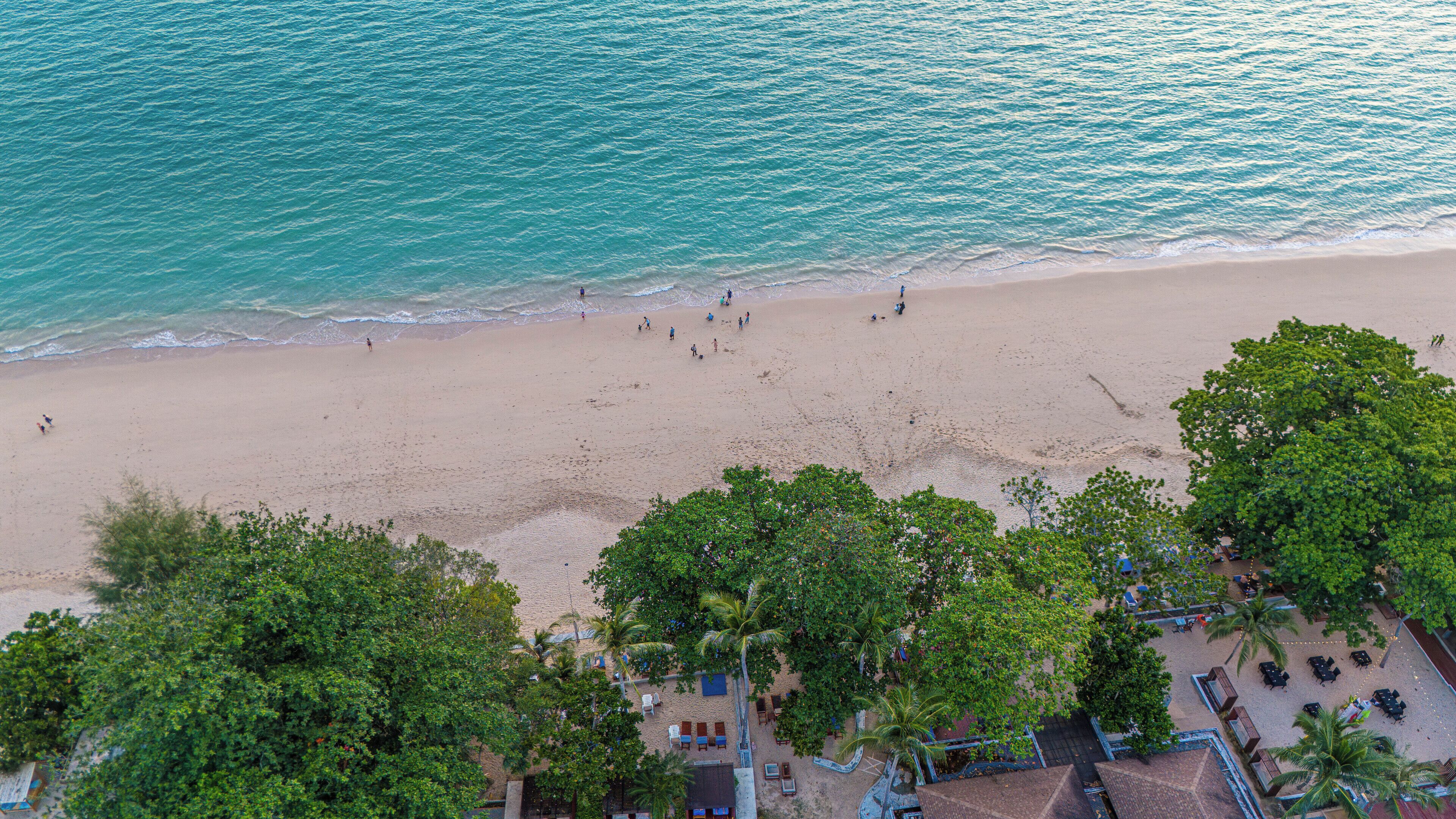 Eine Luftaufnahme eines Strandes mit Menschen, Palmen und einem Gebäude mit Außenbereich.