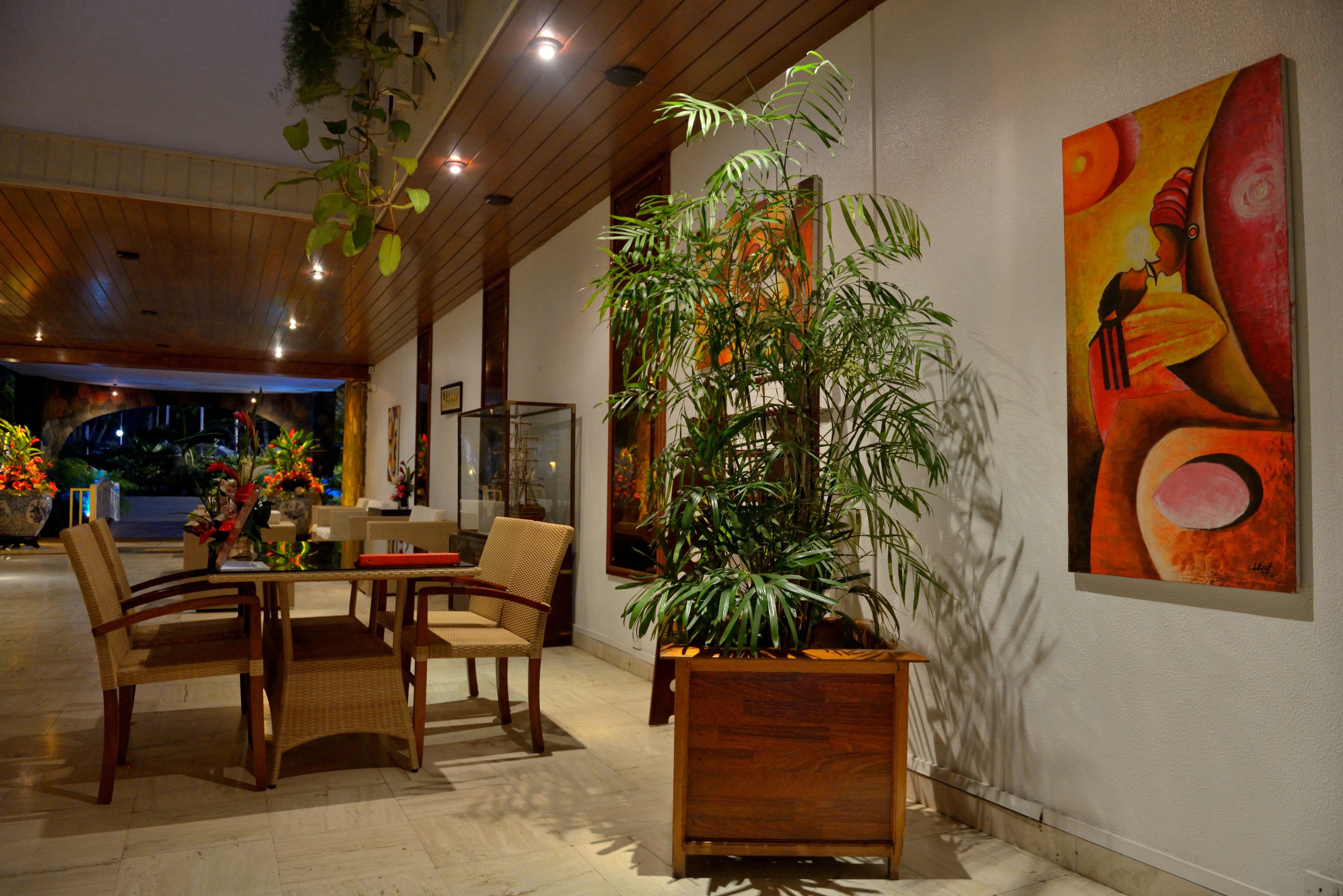A dining area with wooden furniture and a large potted plant.