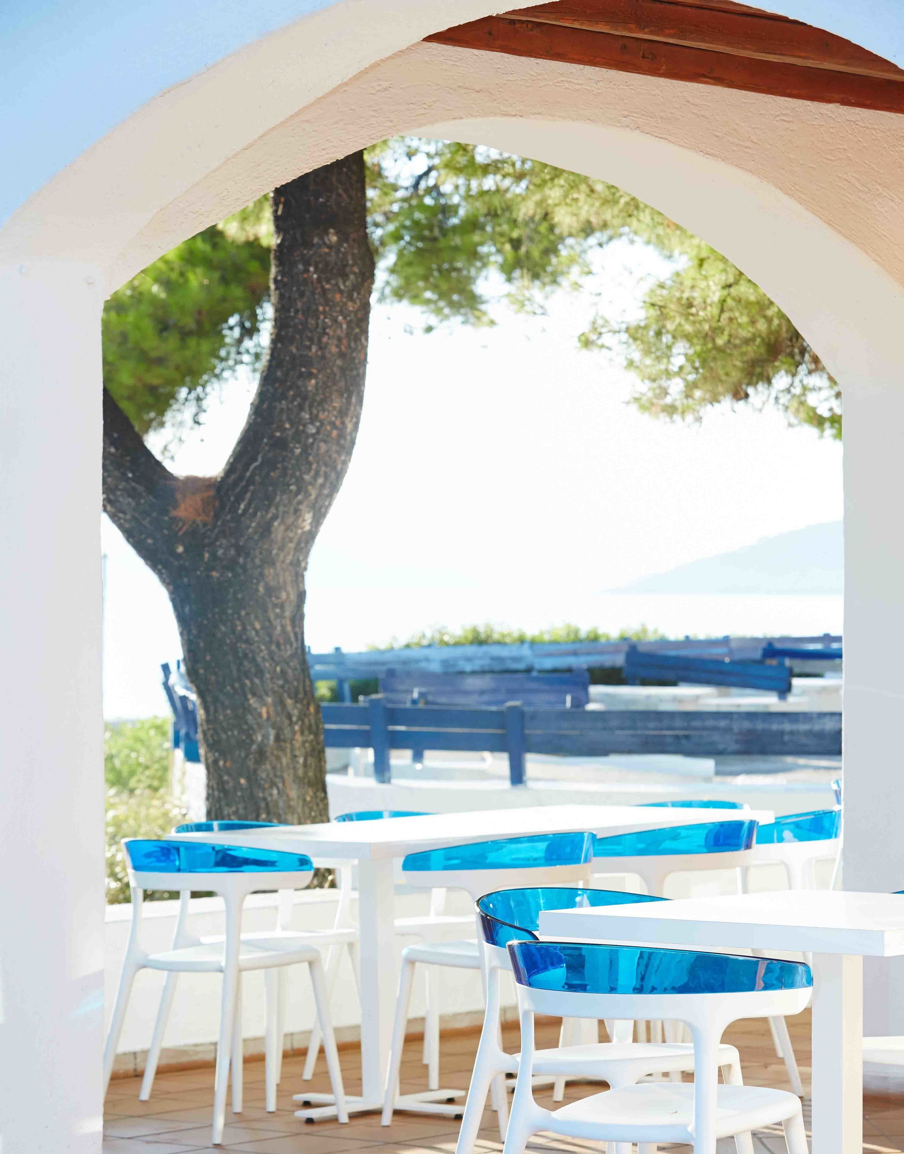 Un espace extérieur aménagé avec des tables blanches et des chaises bleues, un grand arbre, et une vue sur une étendue d’eau et un paysage lointain.