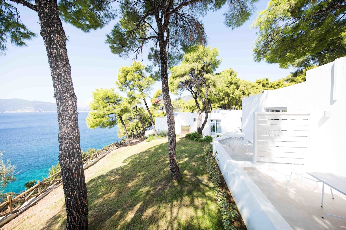 Un edificio moderno con fachada blanca, un área verde con árboles y vista al mar.