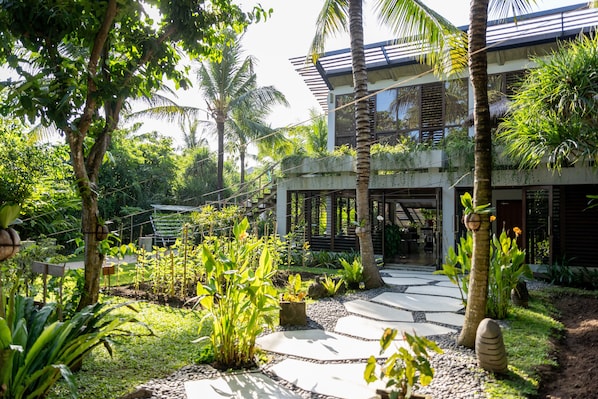 A modern house with a garden, a pathway, and a palm tree.