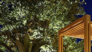 Ein gut beleuchteter Weg führt zu einem modernen Gebäude mit einer Holz-Pergola.
