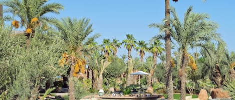 3 outdoor pools, pool umbrellas, pool loungers